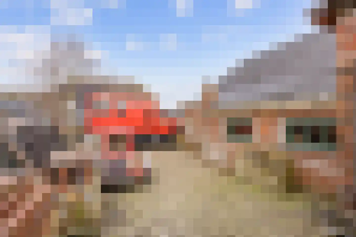 Burum 3 Warfhuizen thumbnail 29
