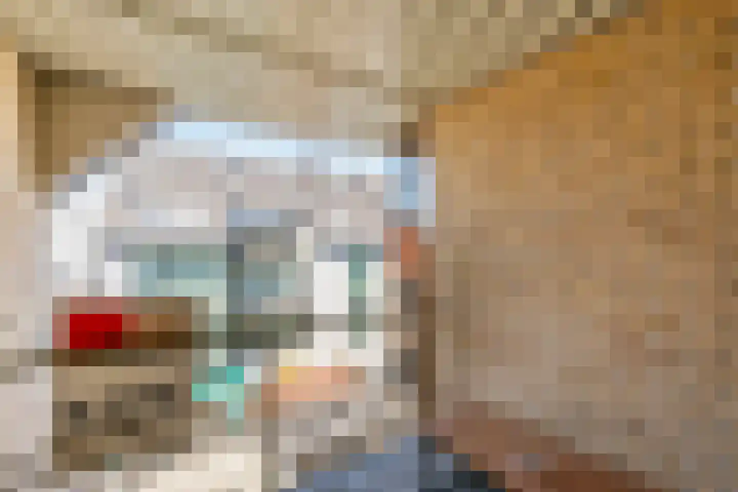Bus 6 Asten thumbnail 11