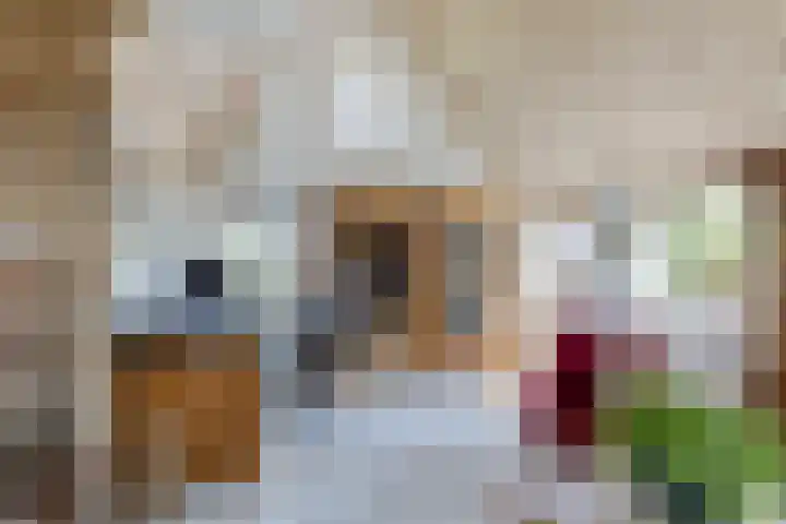 Busch 1 Krommenie thumbnail 15