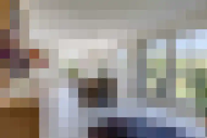Busch 1 Krommenie thumbnail 16