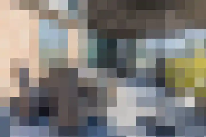 Busch 1 Krommenie thumbnail 35