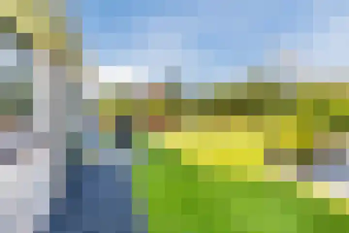 Busch 1 Krommenie thumbnail 40