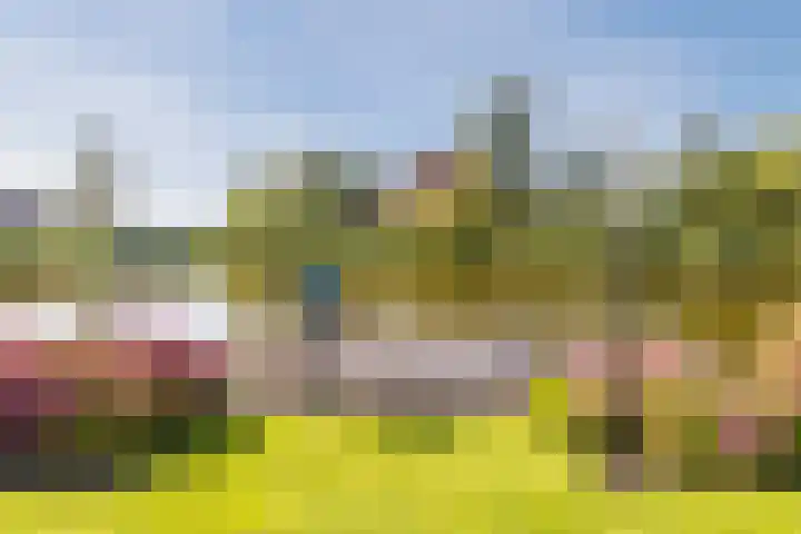 Busch 1 Krommenie thumbnail 43