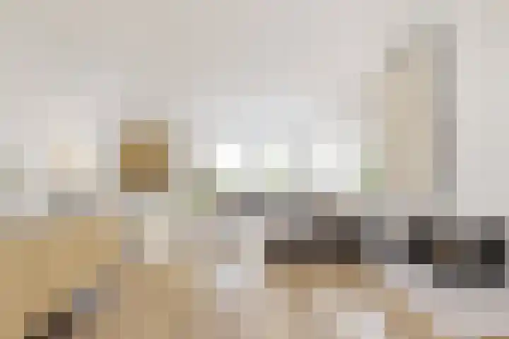 Busch 1 Krommenie thumbnail 5