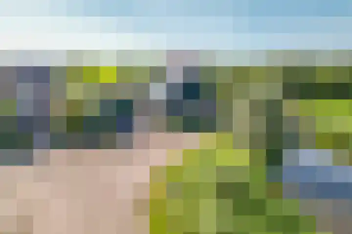 Busch 1 Krommenie thumbnail 51