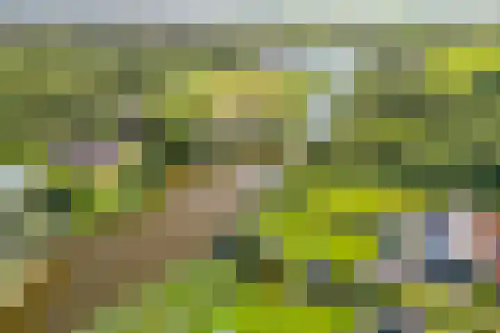 Busch 1 Krommenie thumbnail 55