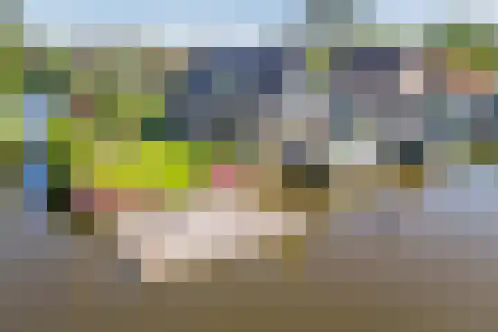 Busch 1 Krommenie thumbnail 62