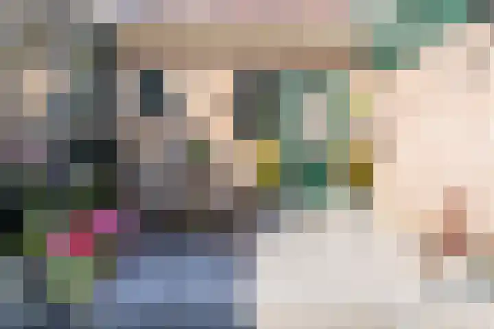 Busch 1 Krommenie thumbnail 8