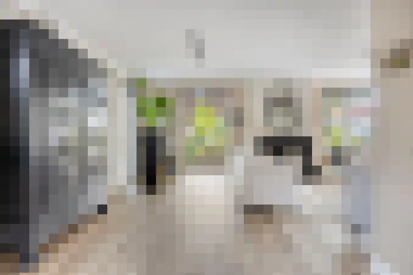 Buseind 41 Best thumbnail 12