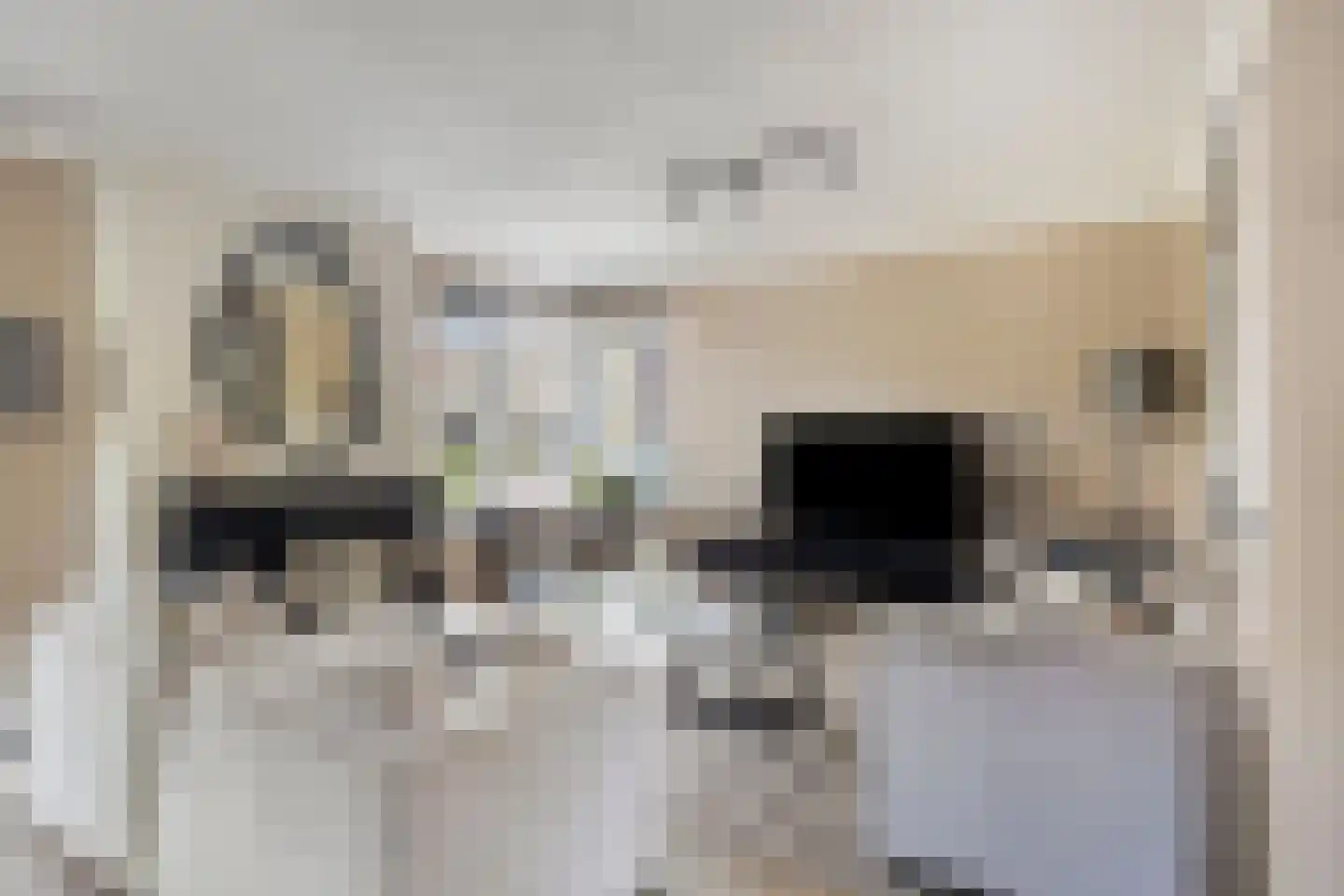 Buseind 41 Best thumbnail 13