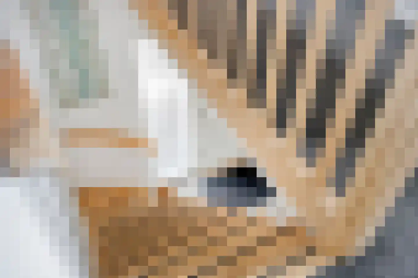 Buseind 41 Best thumbnail 26