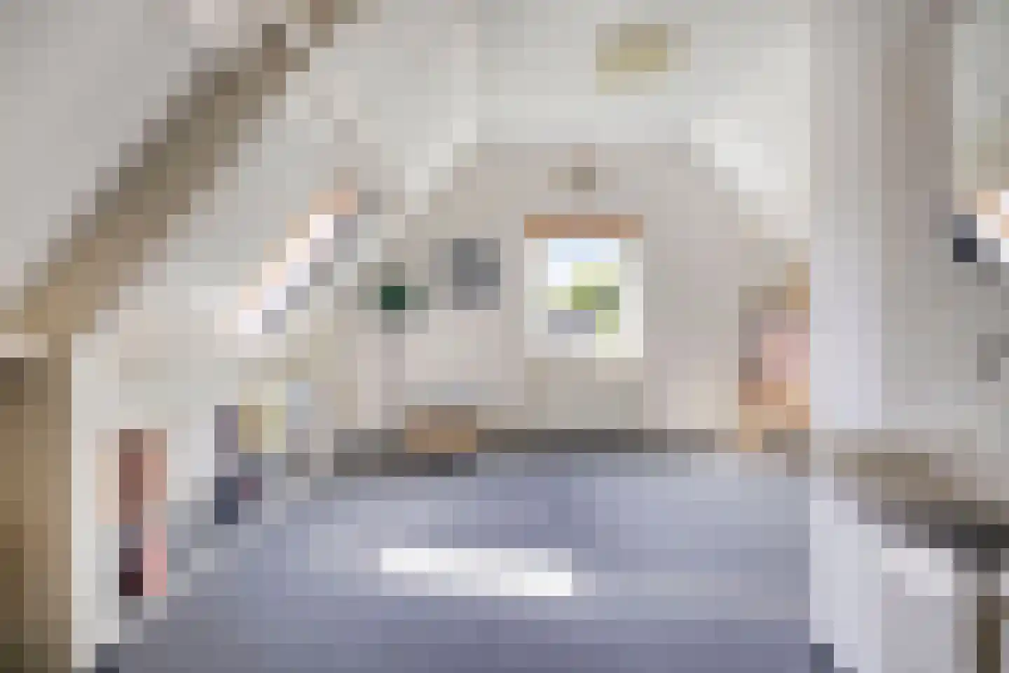 Buseind 41 Best thumbnail 34