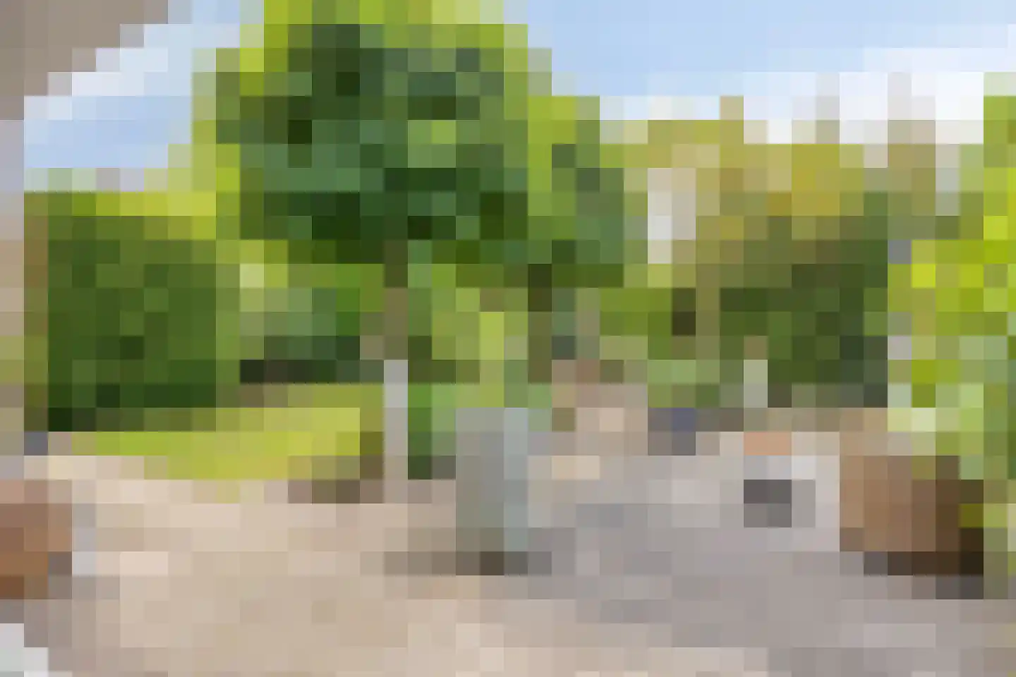 Buseind 41 Best thumbnail 40