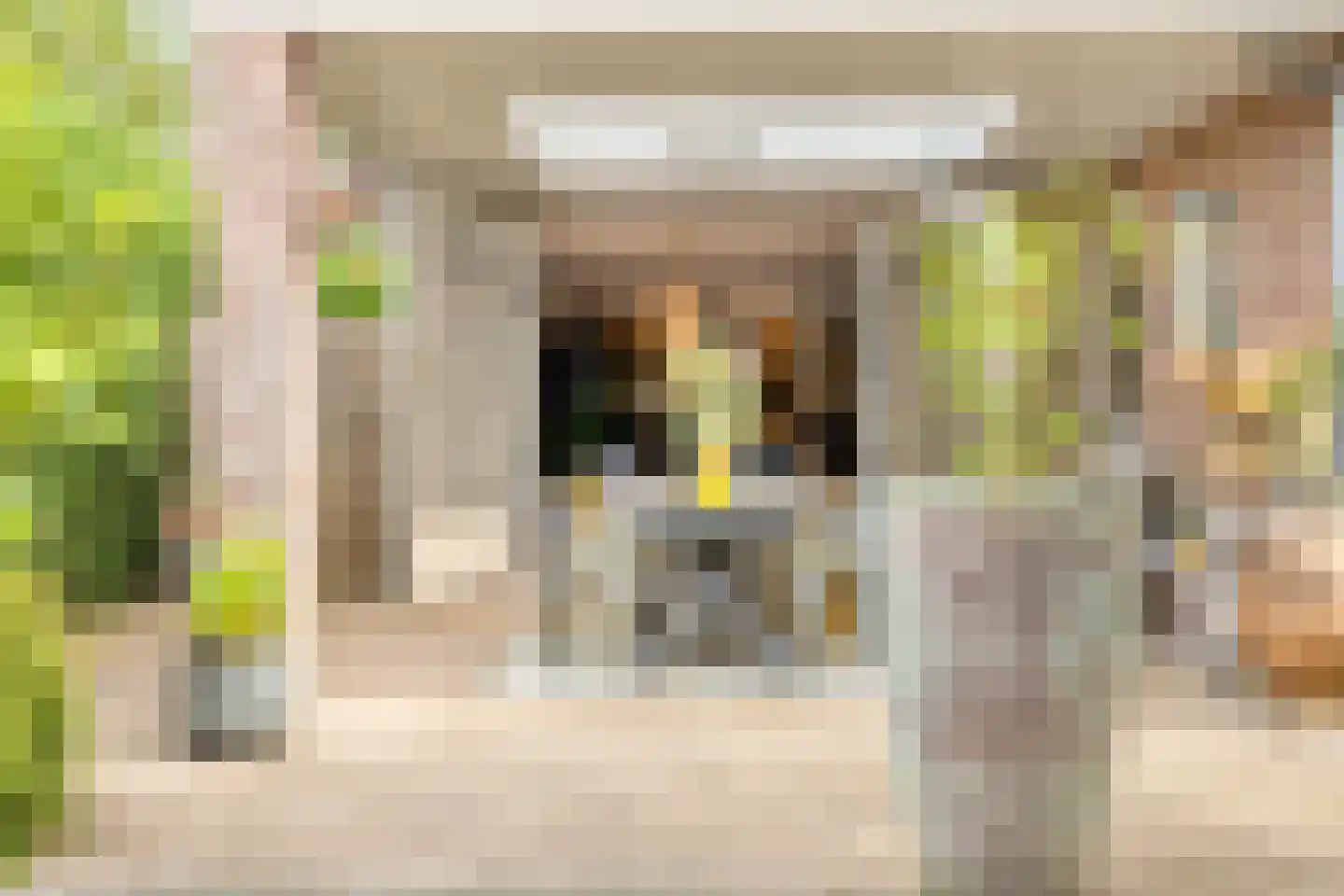Buseind 41 Best thumbnail 41
