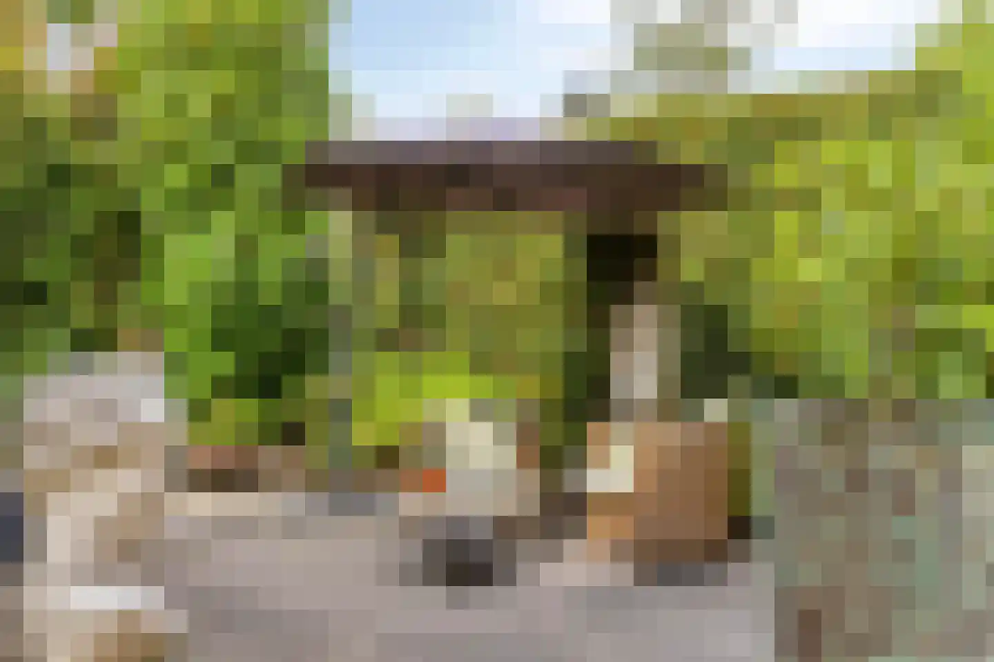 Buseind 41 Best thumbnail 42