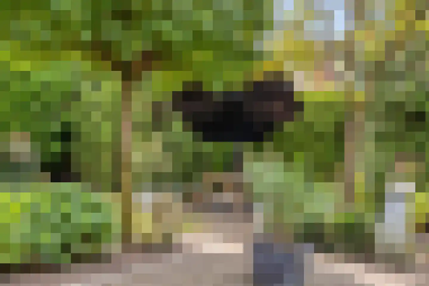 Buseind 41 Best thumbnail 43