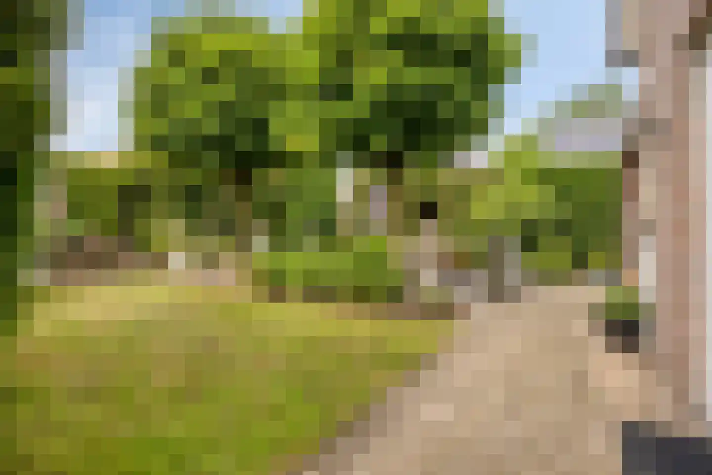 Buseind 41 Best thumbnail 44