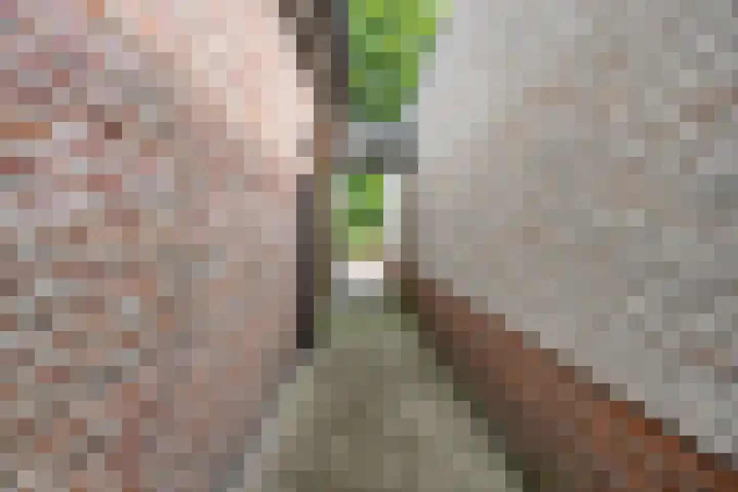 Buseind 41 Best thumbnail 47