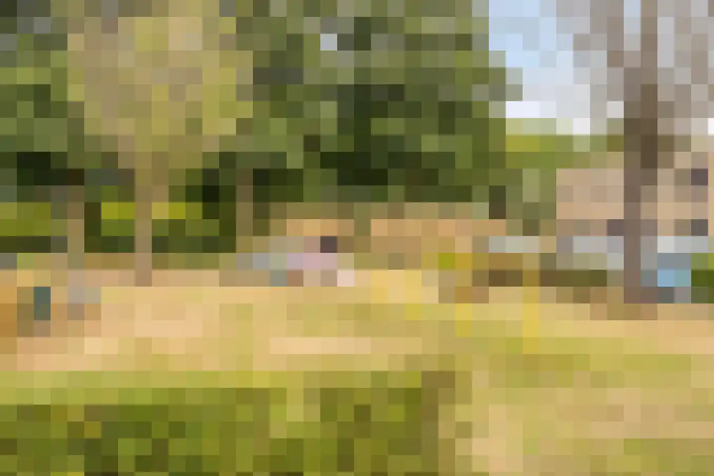 Buseind 41 Best thumbnail 50