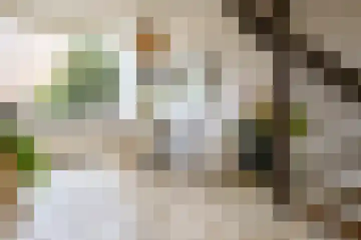Busken Huetlaan 25 Driehuis NH thumbnail 12