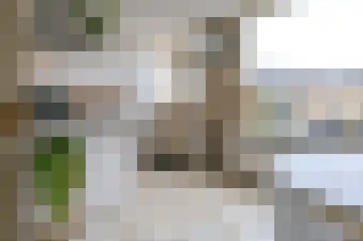 Busken Huetlaan 25 Driehuis NH thumbnail 13