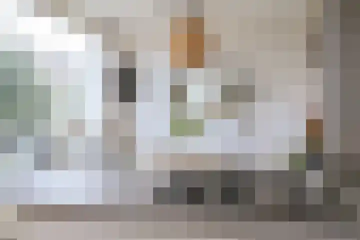 Busken Huetlaan 25 Driehuis NH thumbnail 16