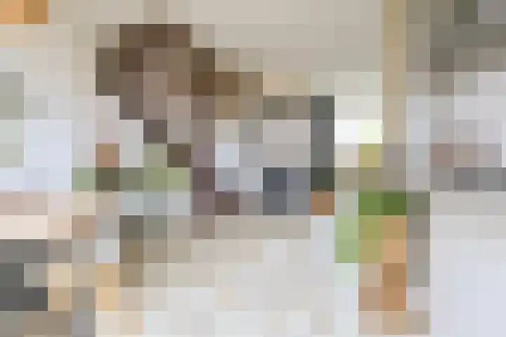 Busken Huetlaan 25 Driehuis NH thumbnail 18