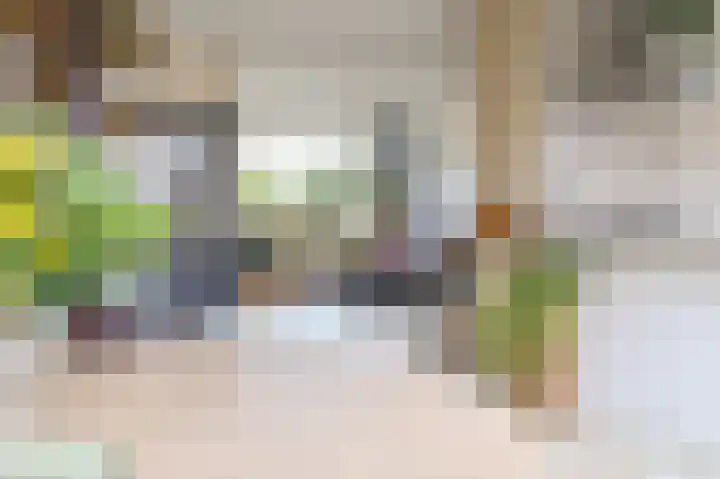 Busken Huetlaan 25 Driehuis NH thumbnail 19