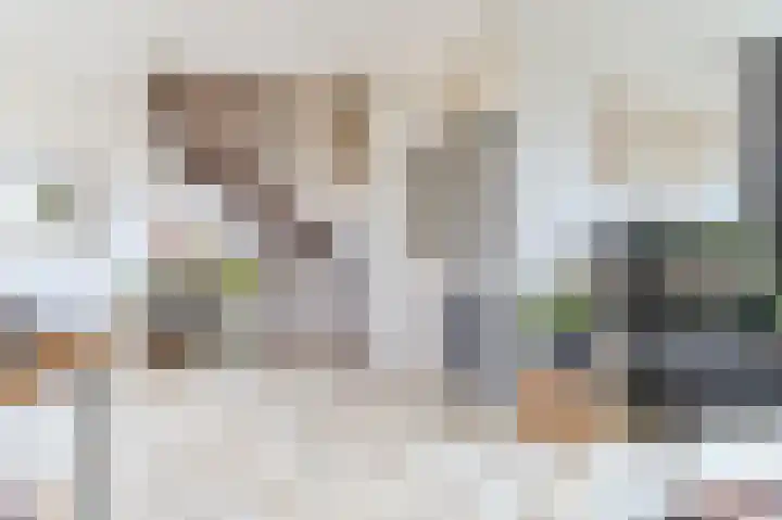 Busken Huetlaan 25 Driehuis NH thumbnail 20