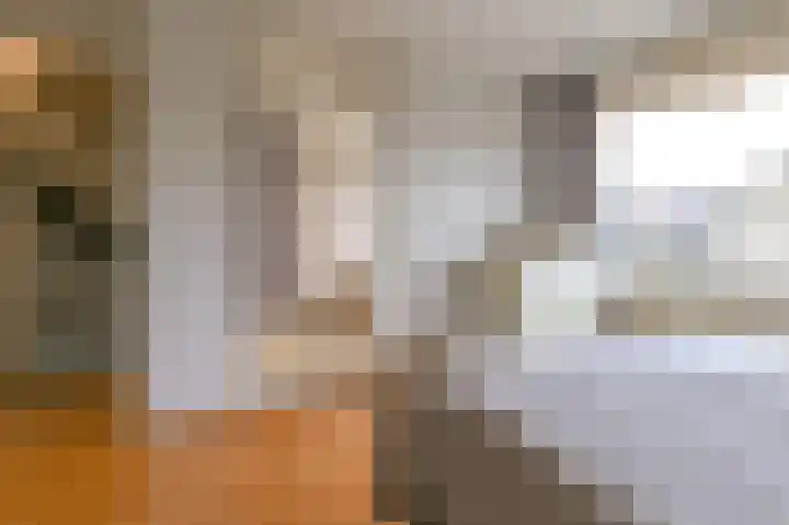 Busken Huetlaan 25 Driehuis NH thumbnail 22
