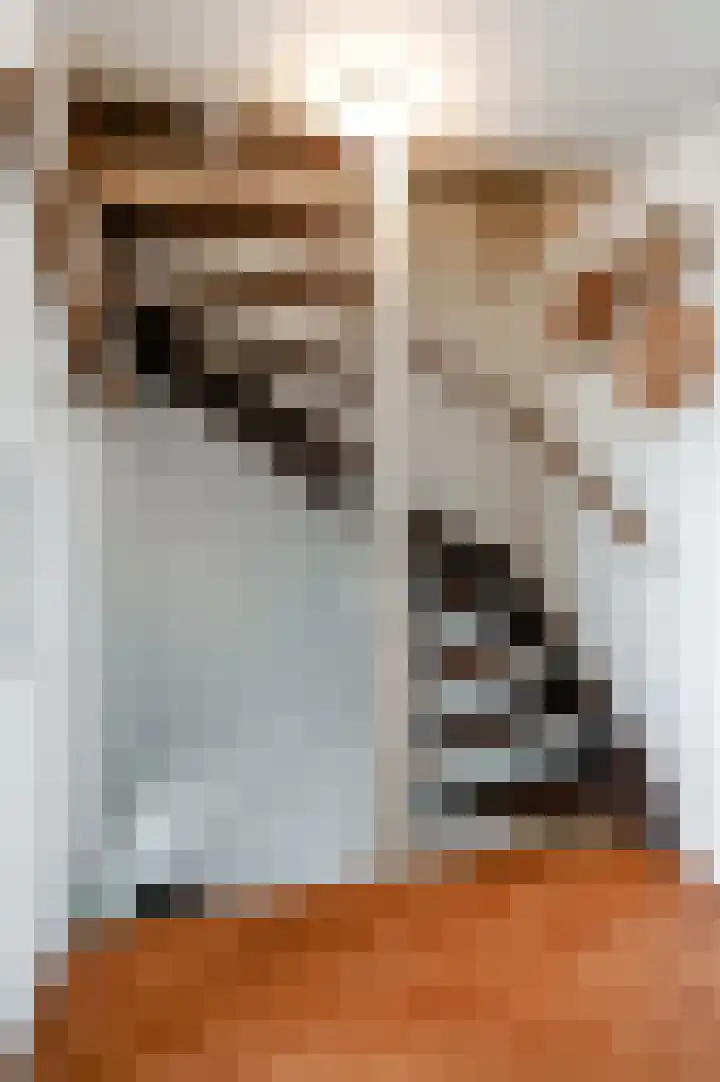 Busken Huetlaan 25 Driehuis NH thumbnail 30