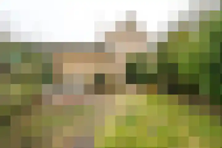 Busken Huetlaan 25 Driehuis NH thumbnail 36