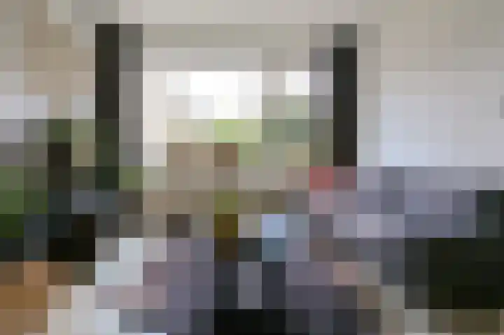 Busken Huetlaan 25 Driehuis NH thumbnail 8