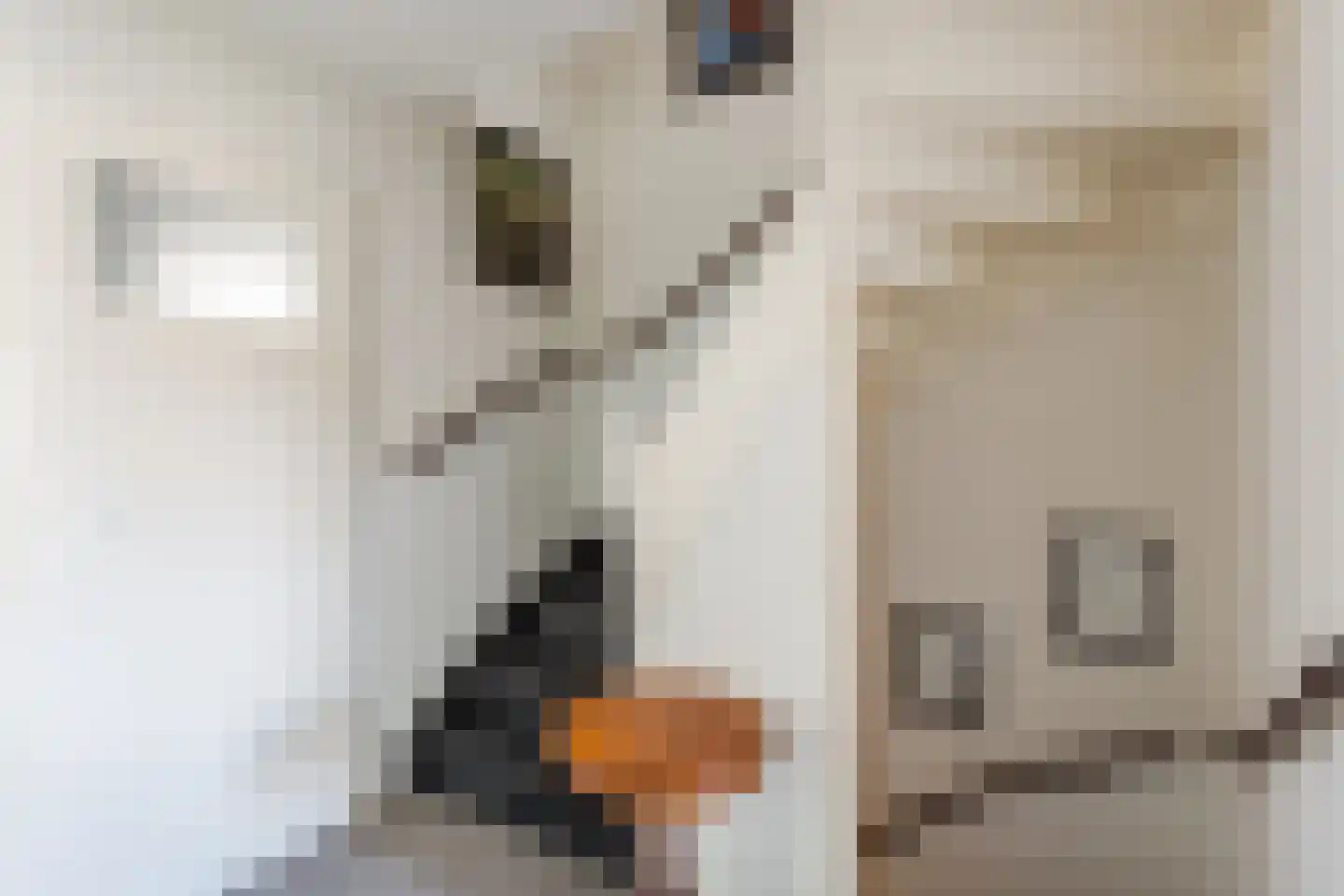 Busken Huetlaan 3 Harderwijk thumbnail 29