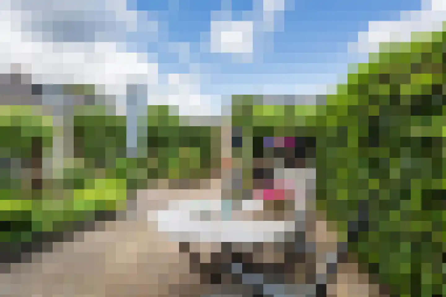 Busken Huetlaan 3 Harderwijk thumbnail 43