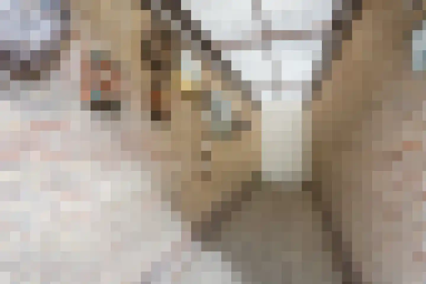 Busken Huetlaan 3 Harderwijk thumbnail 49