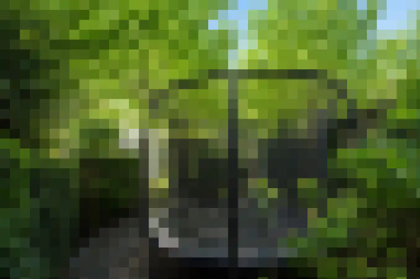Busken Huetlaan 8 Bloemendaal thumbnail 13