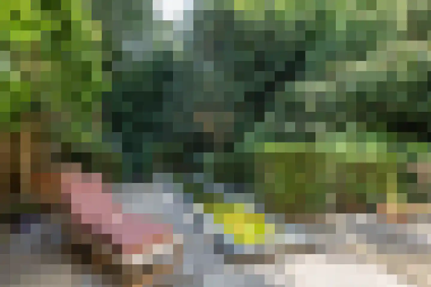 Busken Huetlaan 8 Bloemendaal thumbnail 13