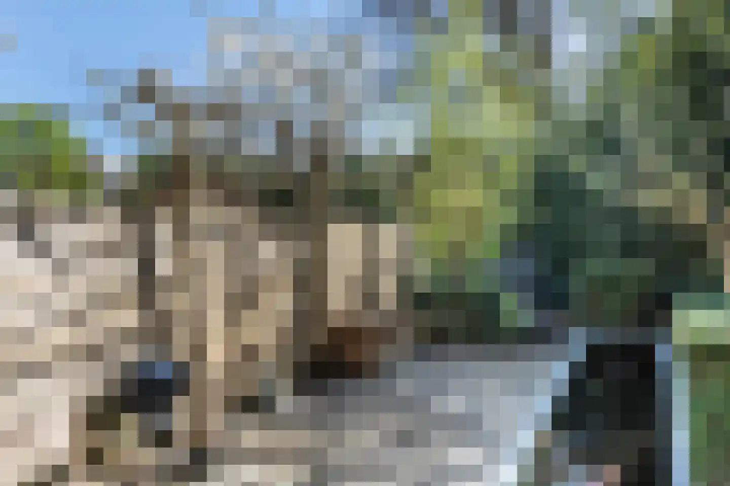 Busken Huetlaan 8 Bloemendaal thumbnail 14