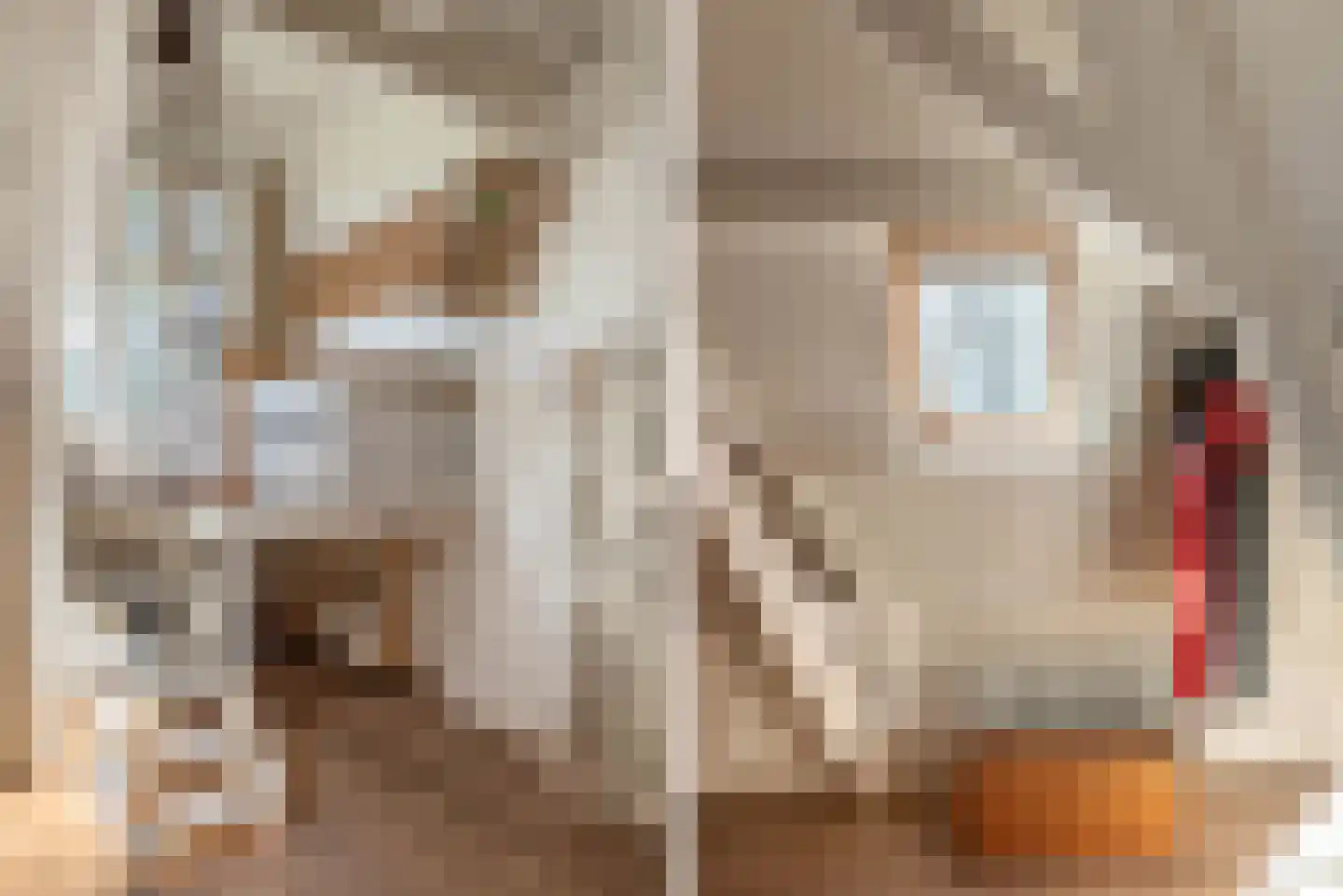 Busken Huetlaan 8 Bloemendaal thumbnail 39
