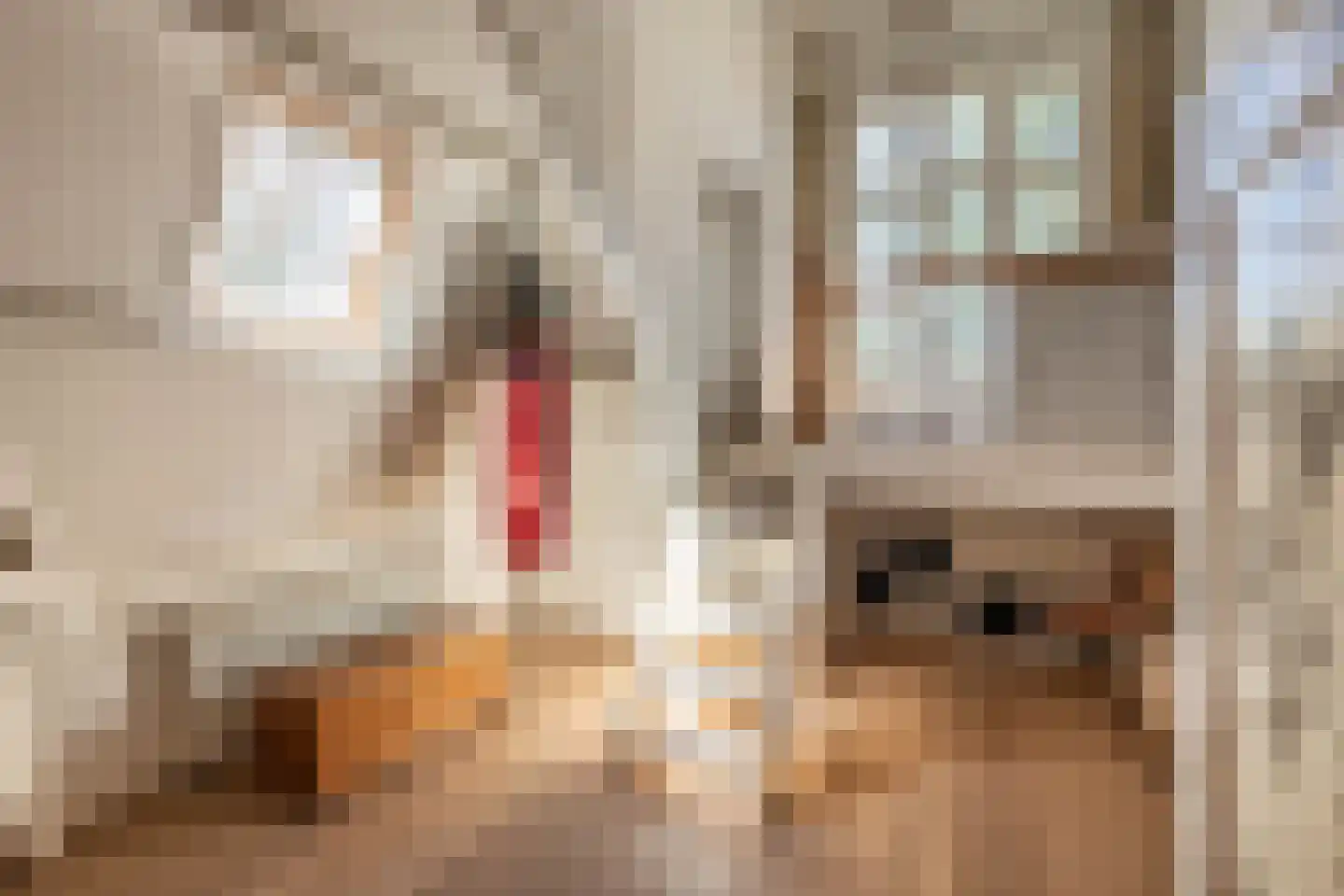 Busken Huetlaan 8 Bloemendaal thumbnail 41