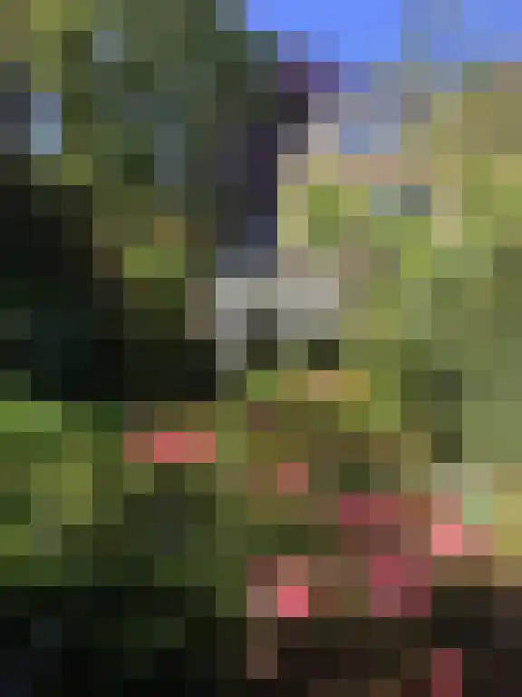 Busken Huetlaan 8 Bloemendaal thumbnail 45
