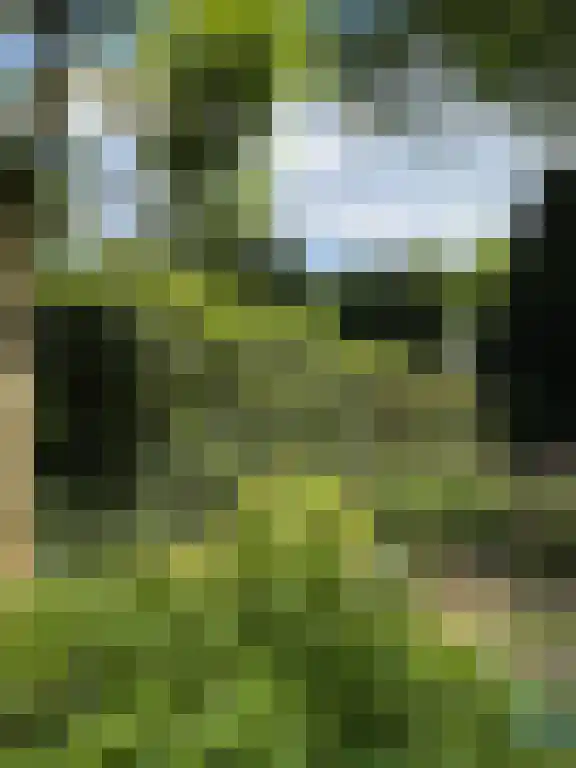 Busken Huetlaan 8 Bloemendaal thumbnail 46