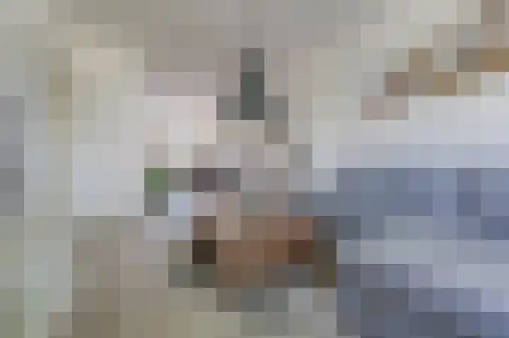 Busken Huetlaan 86 Voorburg thumbnail 7