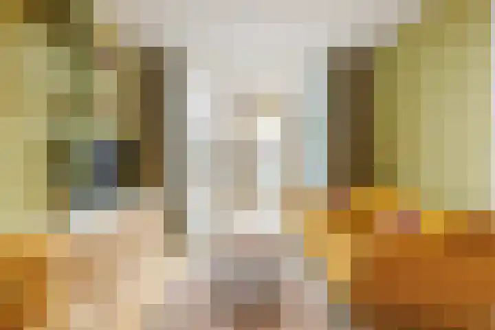 Busken Huetstraat 2 Utrecht thumbnail 7