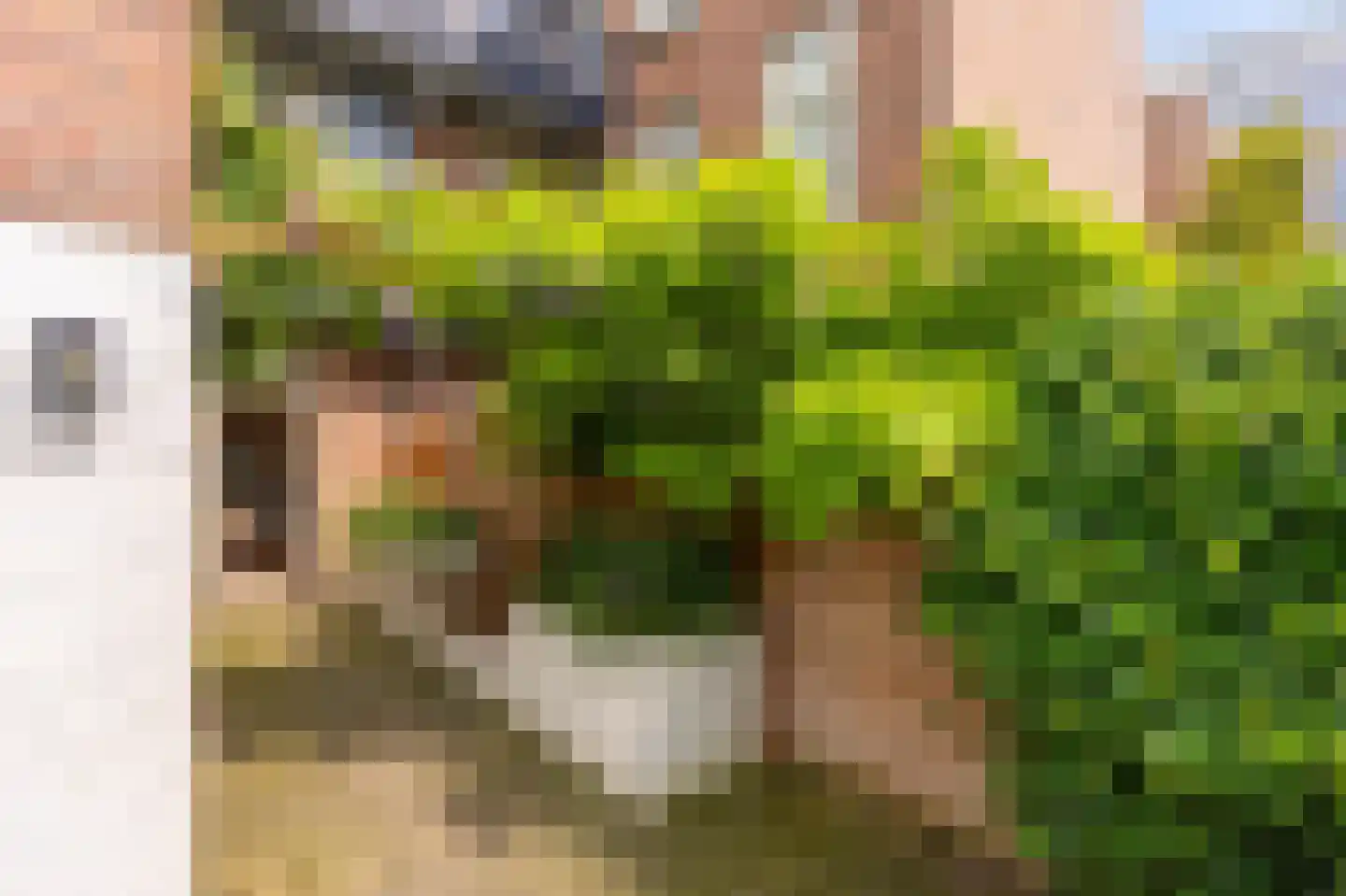 Busken Huetstraat 24 Utrecht thumbnail 12