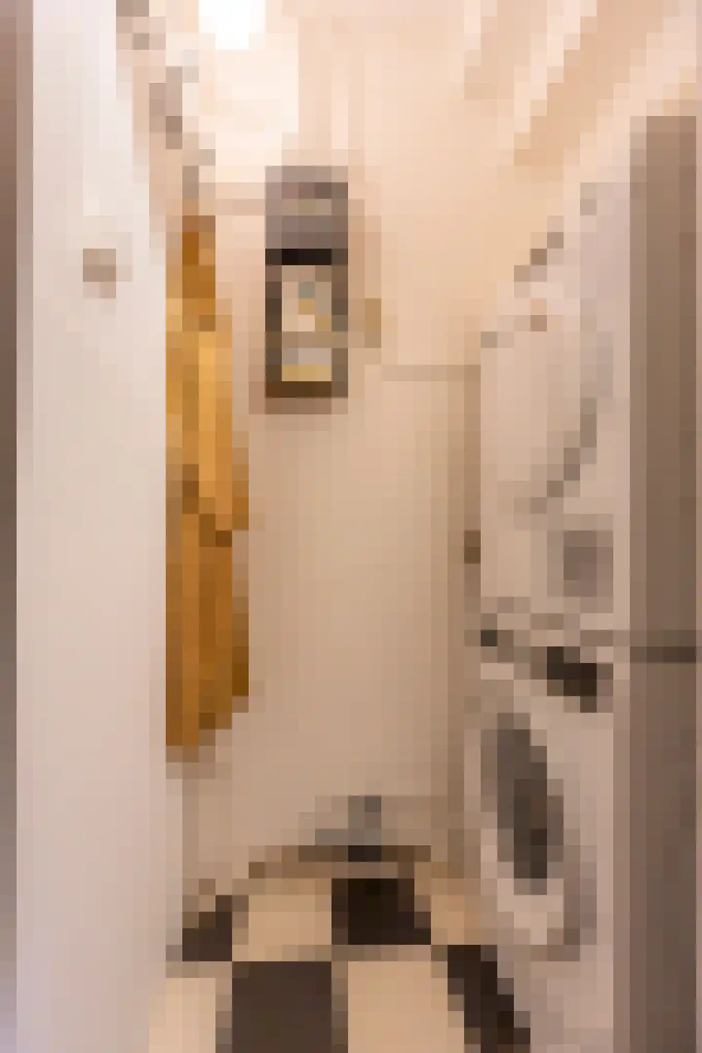 Busken Huetstraat 24 Utrecht thumbnail 40