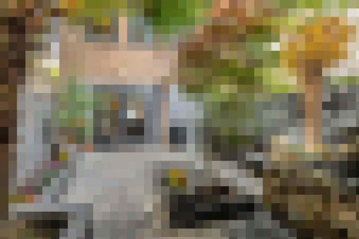 Busken Huëtstraat 28 Den Haag thumbnail 14