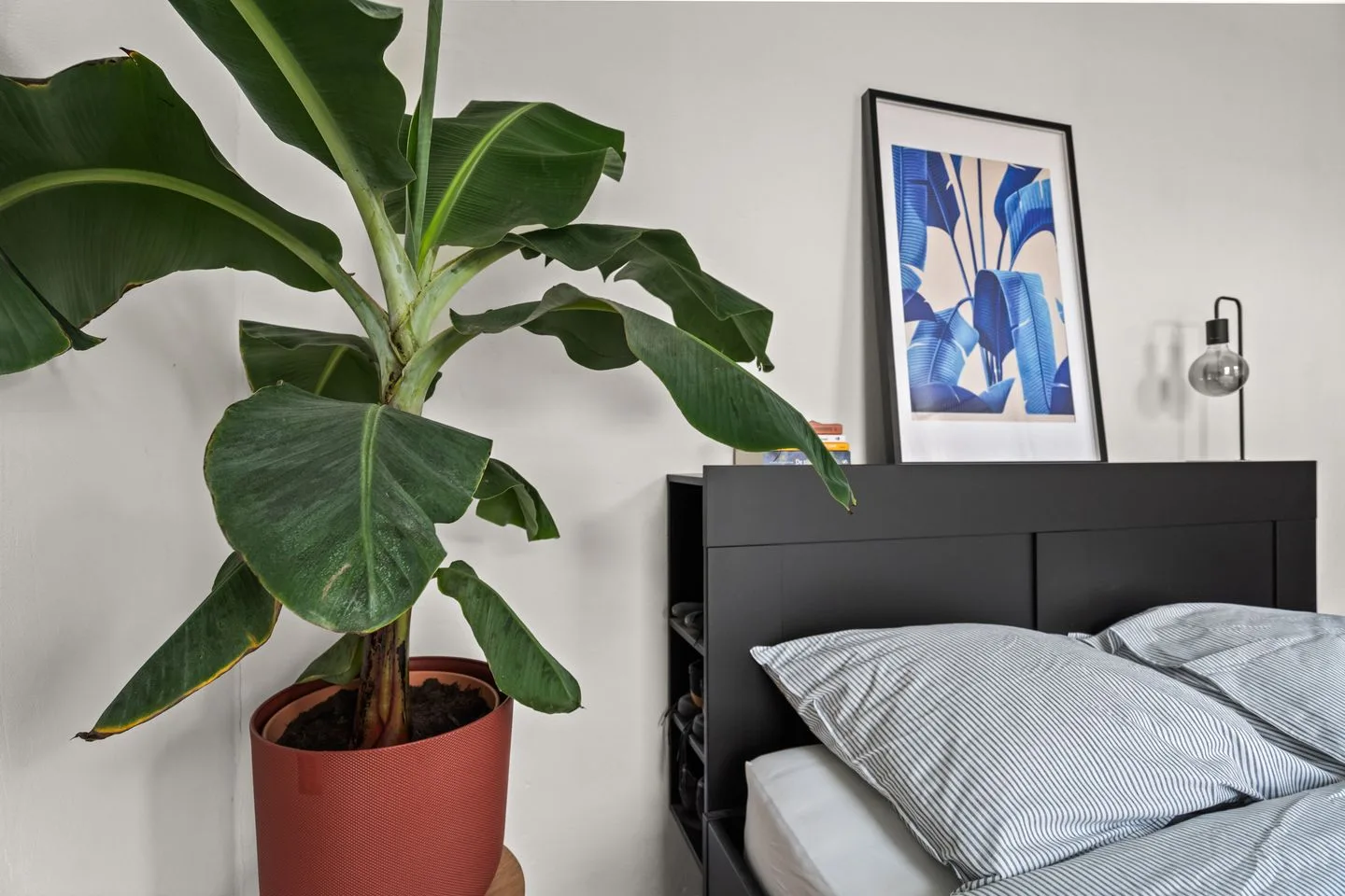 Busken Huetstraat 28 Utrecht thumbnail 47