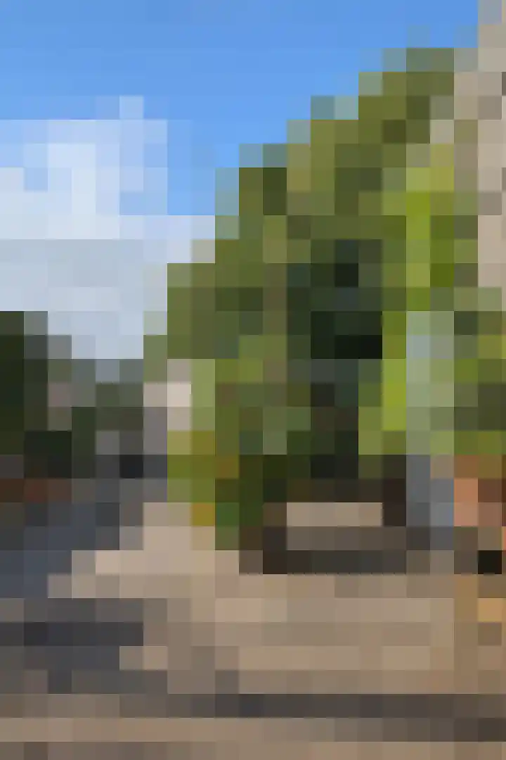 Busken Huetstraat 4 Utrecht thumbnail 19